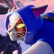 Meowtain